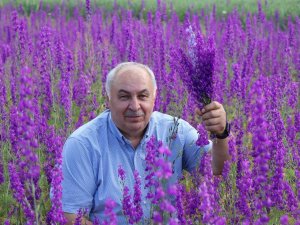 Sağanaklar Doğayı Mor’a Boyadı