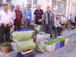 İ̇lek Sezonu Başladı, Kilosu 15 Tl’ye Alıcı Buluyor