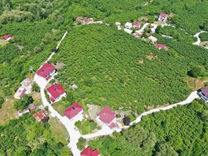 Altınordu’da 41 Mahallede Beton Yol Çalışmaları Tamamlandı