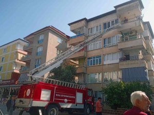 Kullanılmayan Dairede Mahsur Kalan Kediyi İtfaiye Kurtardı
