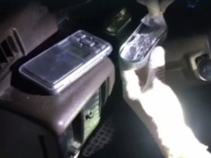 Aracın Gösterge Panelinde Sıvı Bonzai Çıktı