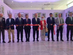 ’Erikli Korumamız Gerekli Sergisi’ Bursalılarla Buluştu