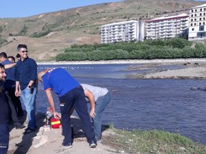 Van Gölü Kıyısında Erkek Cesedi Bulundu