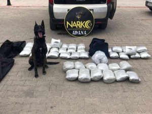 Adana’da 37 Kilo Esrar Ele Geçirildi
