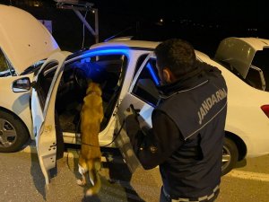 Uyuşturucu Operasyonu; 2 Gözaltı
