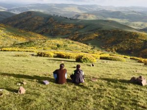 Perşembe Yaylası’nda Orman Gülleri İle Renk Cümbüşü