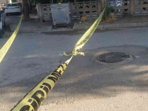 Manisa’da Kan Donduran Olay: Çöp Konteynerinden Bebek Cesedi Çıktı