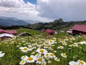 Gümüşhaneli Doğaseverler Altınpınar Gölünde Kamp Kurdu
