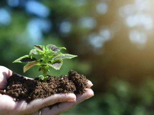 Anketler ‘Nükleer’ Diyor