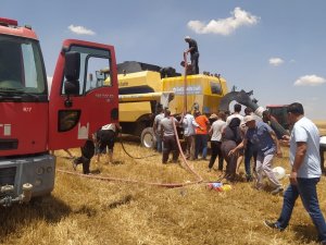 Mardin’de Tarlada Çalışan Biçerdöverden Yangın Çıktı