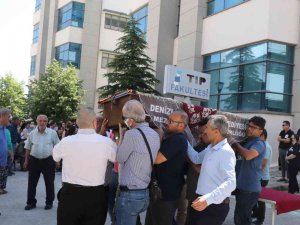 Bayan Doktor Evinde Ölü Bulundu