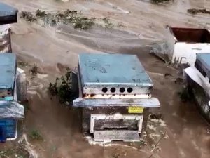 Yüzlerce Kovan Çamura Gömüldü