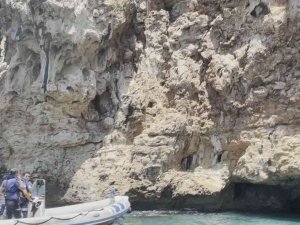 Antalya’da Falezlerde Nefes Kesen Kedi Kurtarma Operasyonu