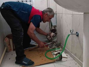 Yavru Kedi Borudan Çıkartıldı