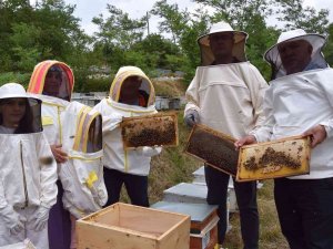 Ordu’da Arıcılara Polen Toplama Tuzağı Desteği