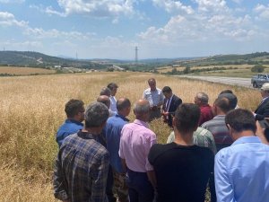Vali Aktaş Dolu Yağışından Zarar Gören Bölgeleri İnceledi