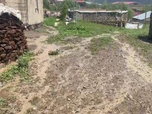 Ağrı’da İki Köyde Sel