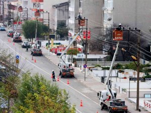 Tatil Bölgelerindeki Elektrik Hatlarında Bakım Ve Onarım