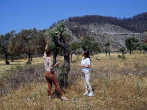 Kadınlara Kompost Yapım Eğitimi