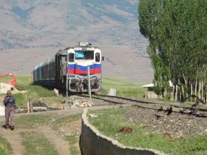 Muş’ta Koyunlarını Kurtarmaya Çalışan Besici Yük Treninin Altında Kalarak Feci Şekilde Öldü