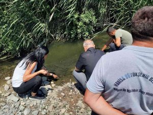 Soma Ve Kırkağaç’ta Haşereyle Mücadele Sürüyor
