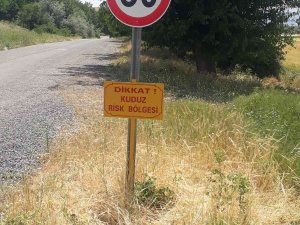 Elazığ’da Bir Köy Kuduz Vakasıyla Karantinaya Alındı