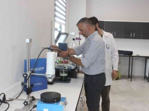 Merdiven Altı Propolislere Dikkat