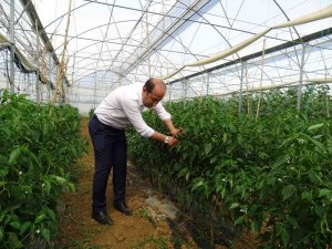 Hasat Vaktinde Çiftçiler Yalnız Bırakılmıyor