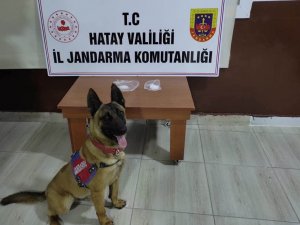 Hatay’da Uyuşturucu Operasyonu: 5 Gözaltı