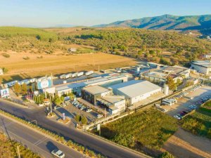 Denizden Döviz Çıktı