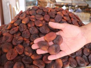 Malatya’da Kuru Kayısıda Tahmini Rekolte 75 Bin 776 Ton