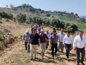 Üreticiye "Bağa Bak Üzüm Olsun, Yemeye Yüzün Olsun" Eğitimi