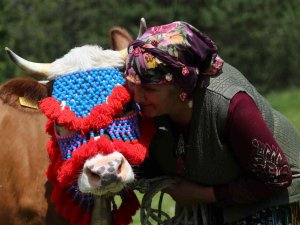 Gümüşhane’de Yayla Göçü Başladı