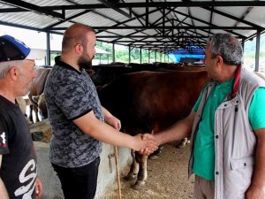 Kurbanlıklarda Bu Yıl Pazarlıklar Kızışacak