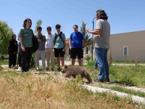 Van’da Öğrenciler Yks Öncesi Stres Attı