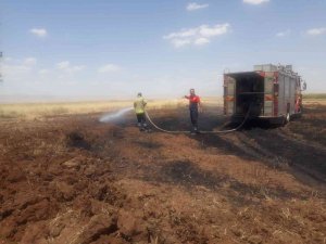 Mardin’de 100 Dönümlük Buğday Tarlası Kül Oldu