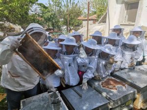 Tatile ‘Doğa Dostu’ Olarak Girdiler