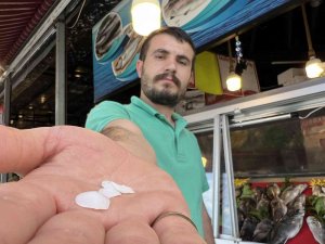 Bu Balık Böbrek Taşı Düşürüyor