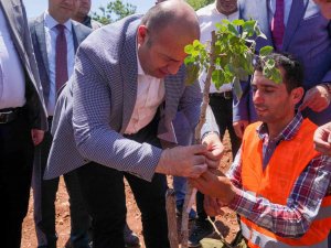 Diyarbakır’da 100 Bin Ağaçlık Fıstık Aşılama Çalışması Başlatıldı