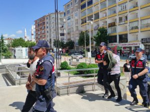 Jandarmadan Baz İstasyonu Farelerine Operasyon