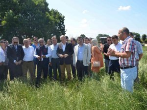 İ̇lkadım Çeşidi İ̇talyan Çimi Yem Bitkisi Yetiştiriciliği Tarla Günü