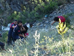 Kayalıklardan Düşen Kişiyi Afad Ekipleri Kurtardı