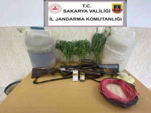 Sakarya’da Yasadışı Kenevir Operasyonu: 1 Gözaltı