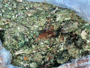 Kahve İle Kamufle Edilmiş 72 Kilo Esrar Ele Geçirildi