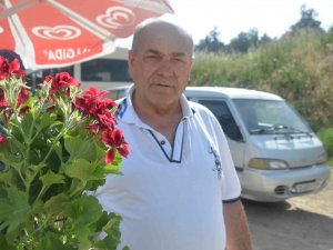 Bilecik’te Şarkısıyla Ünlü Olan ’Ebe Gümeci’ Çiçeğine Vatandaşlar Yoğun İlgi Gösteriyor