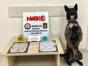 Uyuşturucular Dondurma Kutularından Çıktı