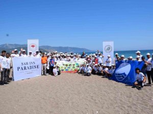 Akdeniz’deki Ekosistemin Kalbi: Caretta Carettalar