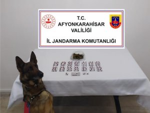 Otobüsle Kente Uyuşturucu Getiren Şahıs Tutuklandı