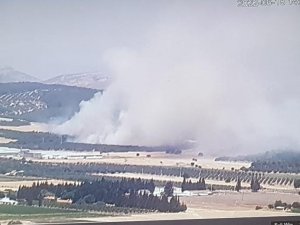 Foça’da Orman Yangını