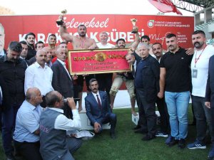 Amasya Karakucak Güreşleri’nde Başpehlivan Fatih Kambur Oldu
